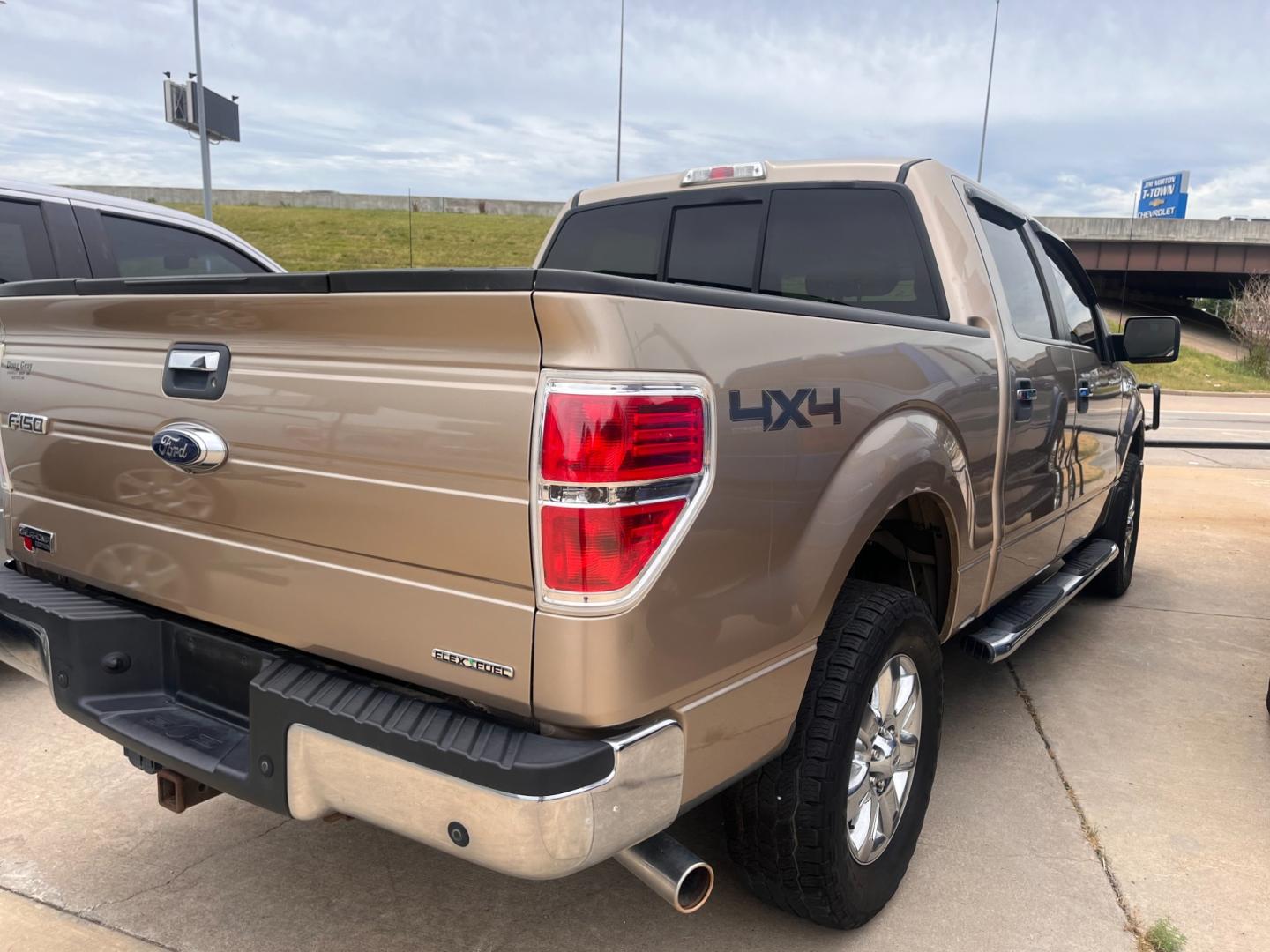 2014 TAN FORD F-150 XL; PLATINUM; XL SuperCrew 5.5-ft. Bed 4WD (1FTFW1EF4EK) with an 5.0L V8 engine, 6-Speed Automatic transmission, located at 8101 E. Skelly Dr., Tulsa, OK, 74129, (918) 592-3593, 36.121891, -95.888802 - Photo#4