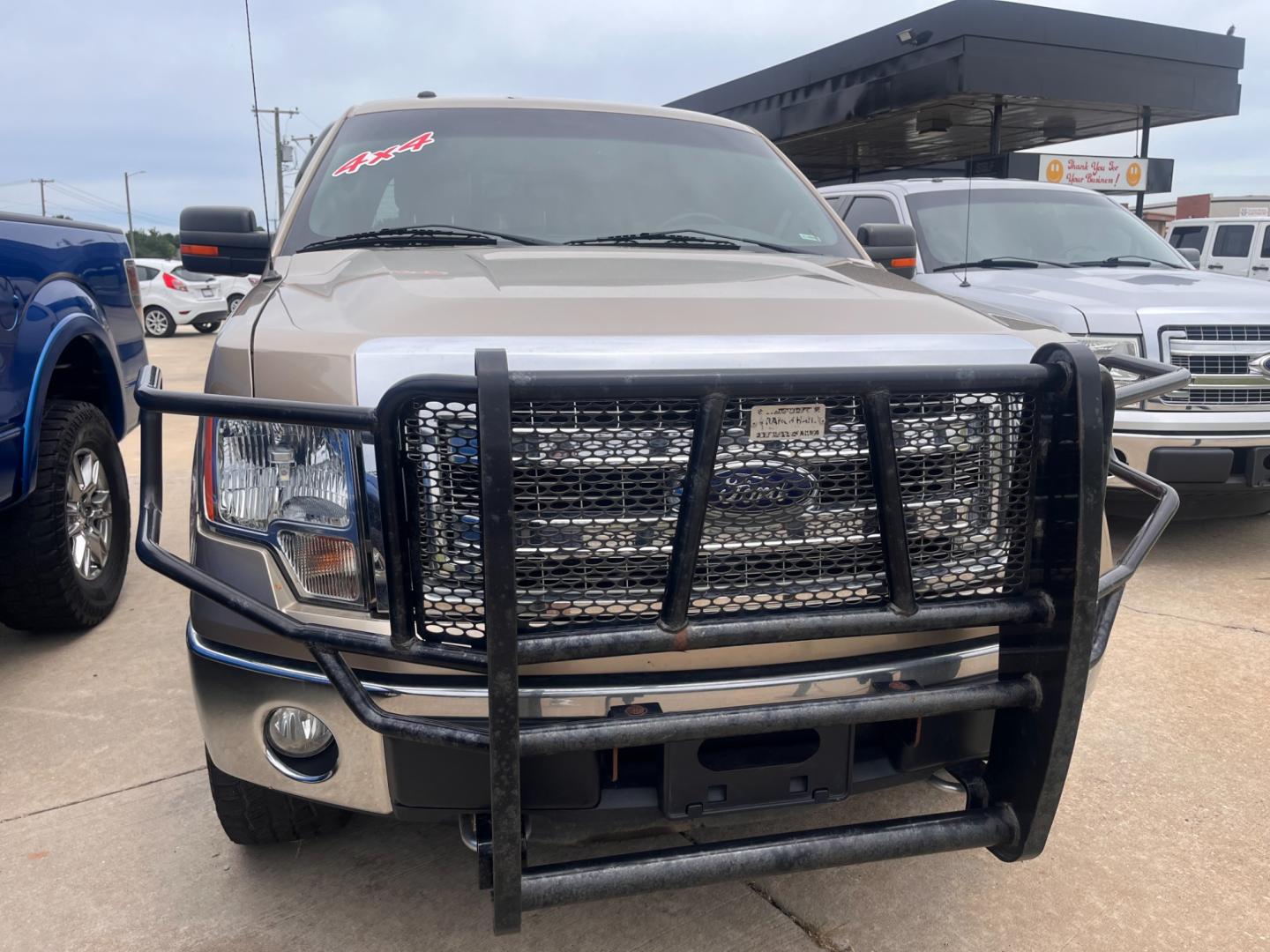 2014 TAN FORD F-150 XL; PLATINUM; XL SuperCrew 5.5-ft. Bed 4WD (1FTFW1EF4EK) with an 5.0L V8 engine, 6-Speed Automatic transmission, located at 8101 E. Skelly Dr., Tulsa, OK, 74129, (918) 592-3593, 36.121891, -95.888802 - Photo#5