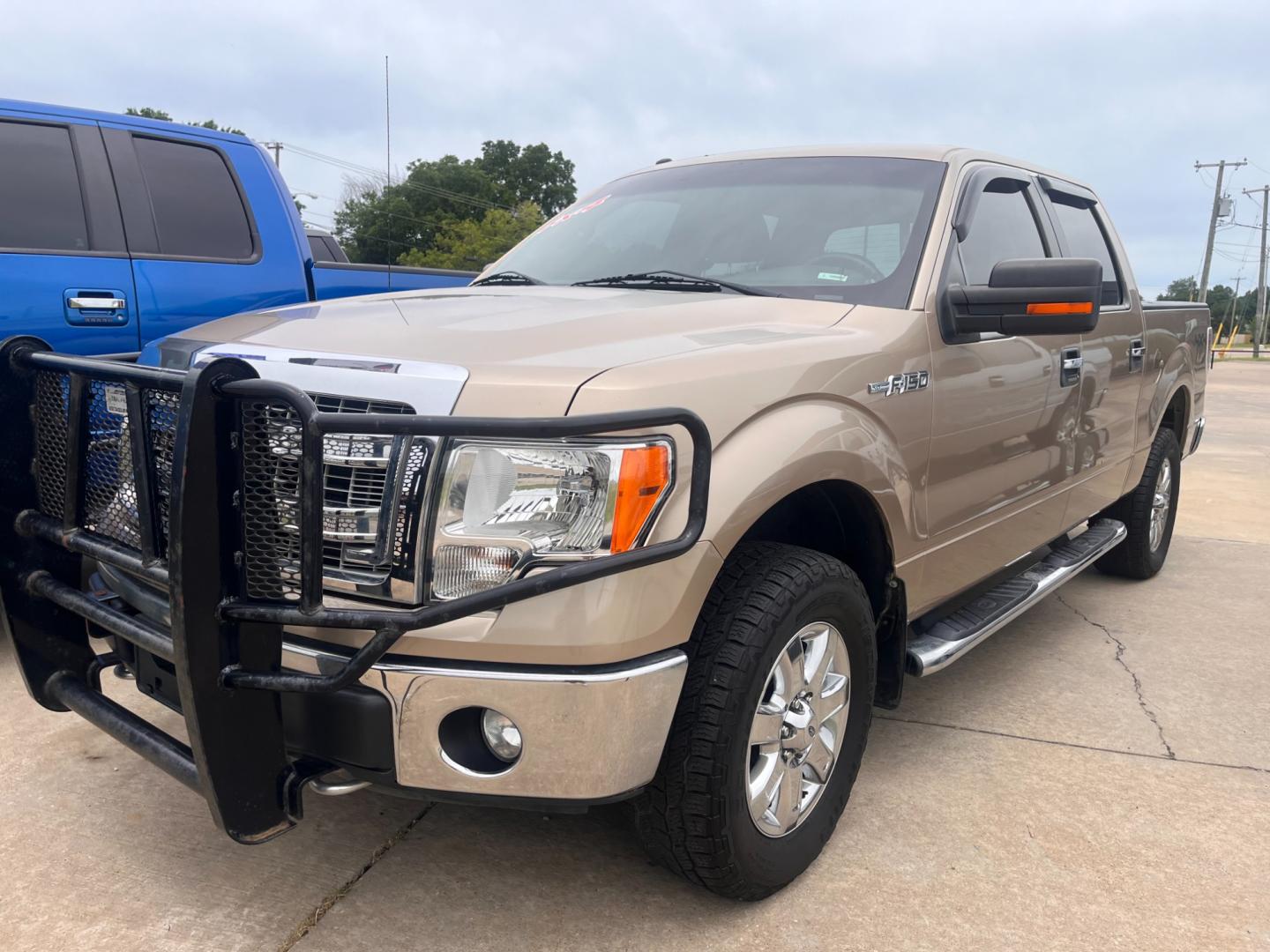 2014 TAN FORD F-150 XL; PLATINUM; XL SuperCrew 5.5-ft. Bed 4WD (1FTFW1EF4EK) with an 5.0L V8 engine, 6-Speed Automatic transmission, located at 8101 E. Skelly Dr., Tulsa, OK, 74129, (918) 592-3593, 36.121891, -95.888802 - Photo#0